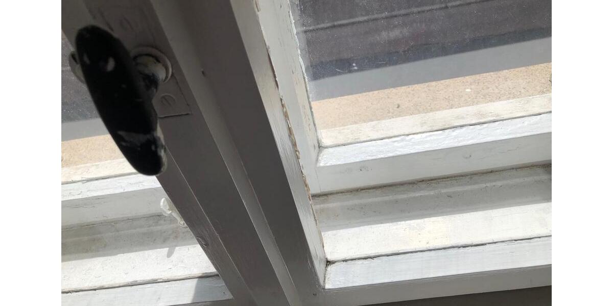 Reihenhaus Halle (Saale) - 10 Zimmer, 135 m&sup2;, 400&euro; | Angebot:25616087