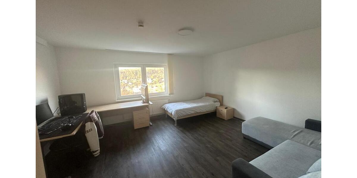 Wohnen auf Zeit Freiburg im Breisgau Ebnet - 1 Zimmer, 23 m&sup2;, 360&euro; | Angebot:26402531