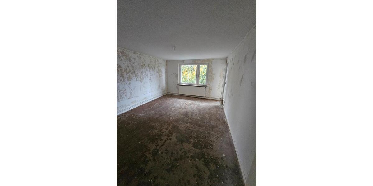 Etagenwohnung Braunschweig Wabe-Schunter-Beberbach - 2 Zimmer, 56 m&sup2;, 480&euro; | Angebot:26295174