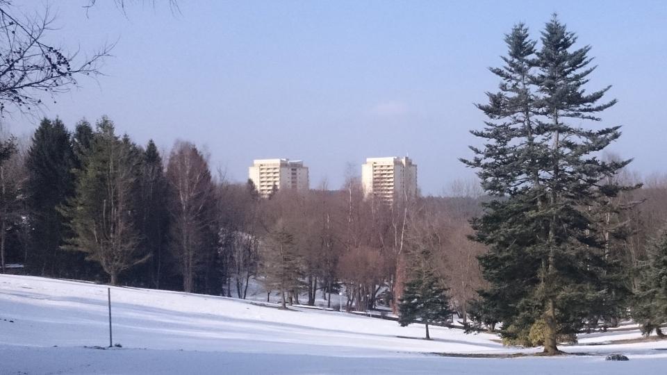 Hochparterre Braunlage - 3 Zimmer, 49 m&sup2;, 64&euro; | Angebot:24369809