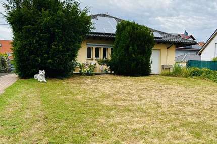 Haus Grossniedesheim - 4 Zimmer, 144 m&sup2;, 1.500&euro; | Angebot:27008909