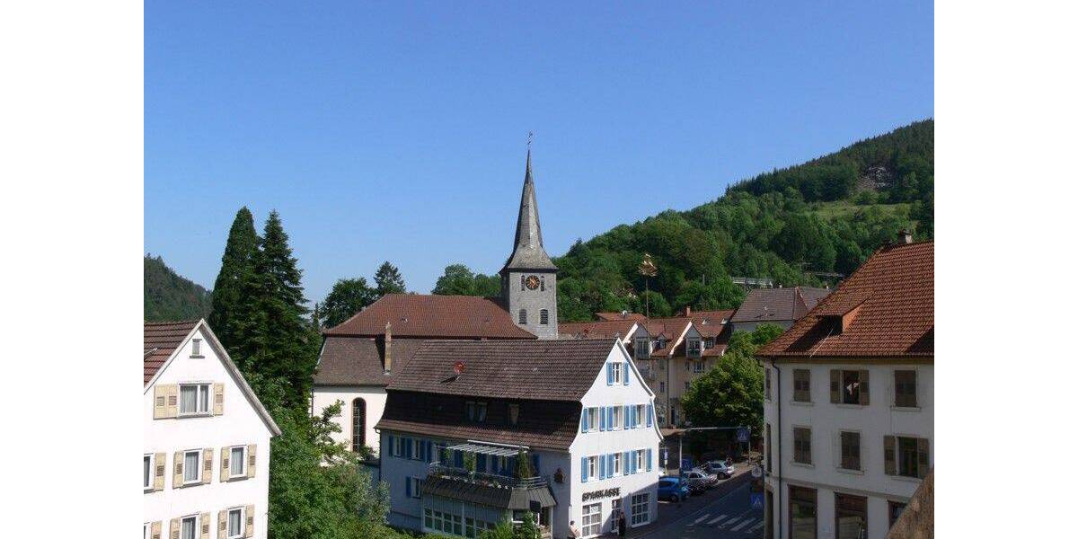 Gewerbeobjekt Hornberg Stadtgebiet - 850&euro; | Angebot:25701421