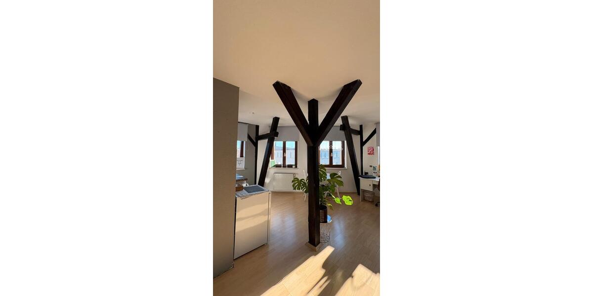 Dachgeschoßwohnung Halle (Saale) Damaschkestraße - 1 Zimmer, 35 m&sup2;, 335&euro; | Angebot:26693652