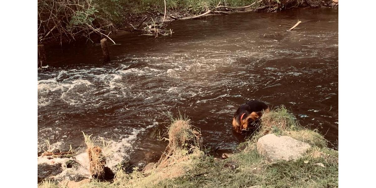 Etagenwohnung Frankfurt (Oder) Booßen - 1 Zimmer, 20 m&sup2;, 450&euro; | Angebot:24409718