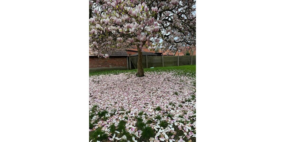 Dachgeschoßwohnung Steyerberg - 2 Zimmer, 65 m&sup2;, 595&euro; | Angebot:26619051