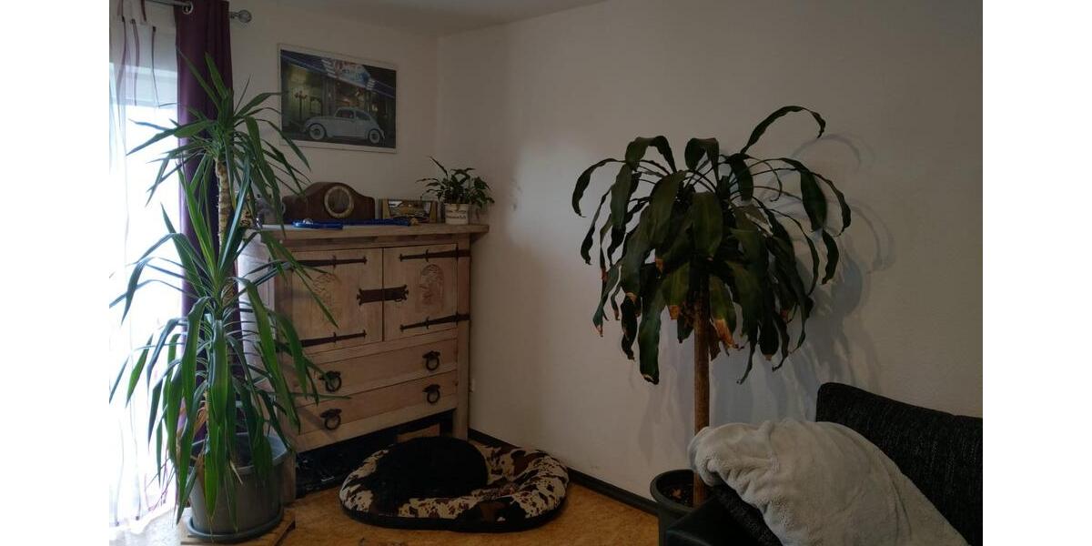 Etagenwohnung Rheinböllen - 3 Zimmer, 60 m&sup2;, 480&euro; | Angebot:25087596
