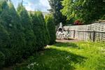 Hochparterre Limbach-Oberfrohna Oberfrohna - 2 Zimmer, 58 m&sup2;, 350&euro; | Angebot:26674391