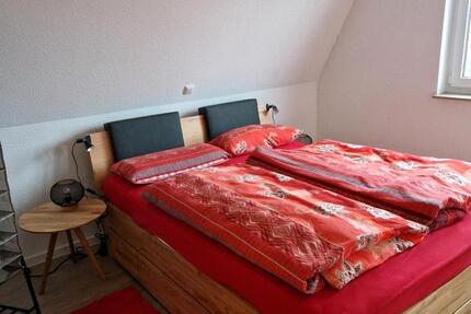 Wohnen auf Zeit Wiesbaden Biebrich - 1 Zimmer, 100 m&sup2;, 700&euro; | Angebot:25333238