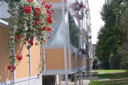 Wohnung zum Mieten in Wurzen 225 € 32.5 m² 1 zimmer