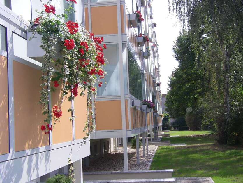 Wohnung zum Mieten in Wurzen 225 € 32.5 m² 1 zimmer
