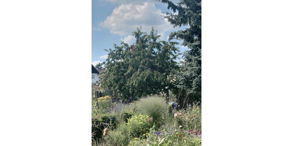 Etagenwohnung Roßdorf - 2 Zimmer, 43 m&sup2;, 750&euro; | Angebot:26309864