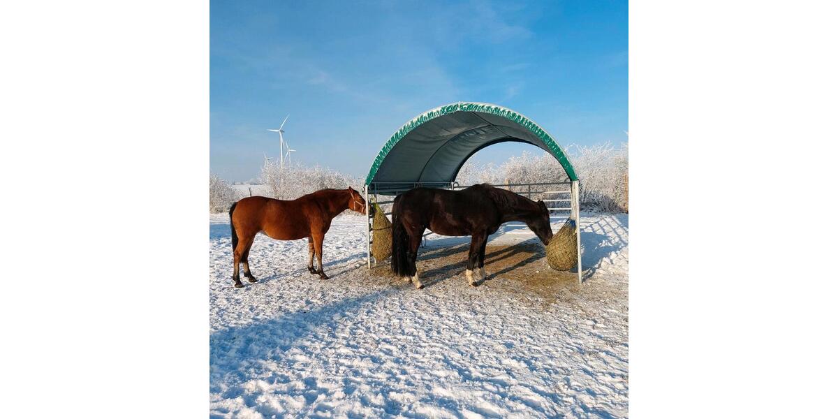 Erdgeschoßwohnung Neuenkirchen - 2 Zimmer, 55 m&sup2;, 680&euro; | Angebot:24676621