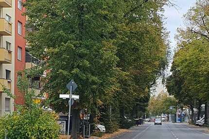Gewerbeobjekt Berlin Mitte - 1.350&euro; | Angebot:27680562