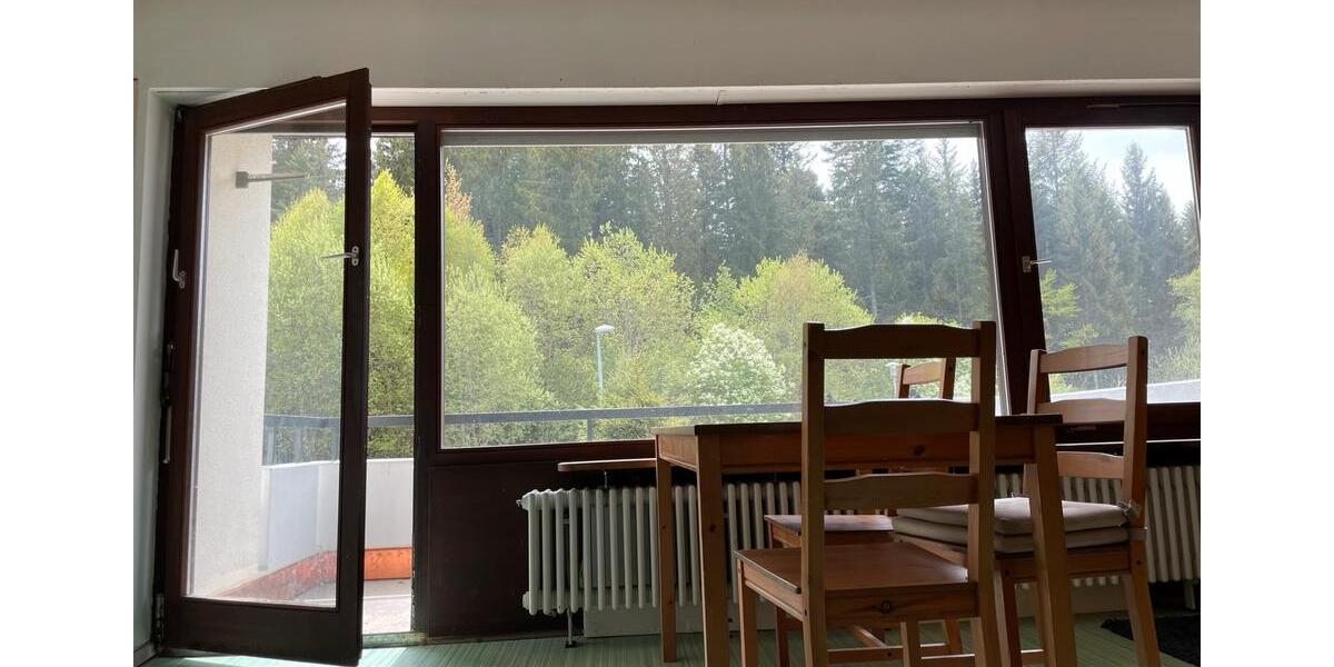 Etagenwohnung Schluchsee - 1.5 Zimmer, 50 m&sup2;, 520&euro; | Angebot:26529049