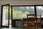 Etagenwohnung Schluchsee - 1.5 Zimmer, 50 m&sup2;, 520&euro; | Angebot:26529049