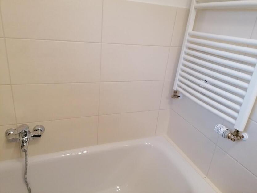 Wohnung 1,5 Zi