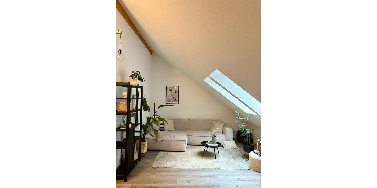 Dachgeschoßwohnung Trier - 1 Zimmer, 60 m&sup2;, 750&euro; | Angebot:25163295