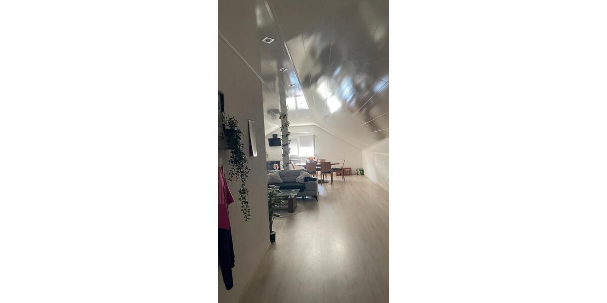 Dachgeschoßwohnung Achern - 2 Zimmer, 82 m&sup2;, 850&euro; | Angebot:26069494