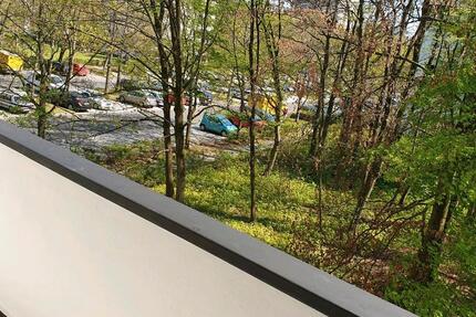 vollmöblierte 1 Zimmer Wohnung in der Waldstadt
