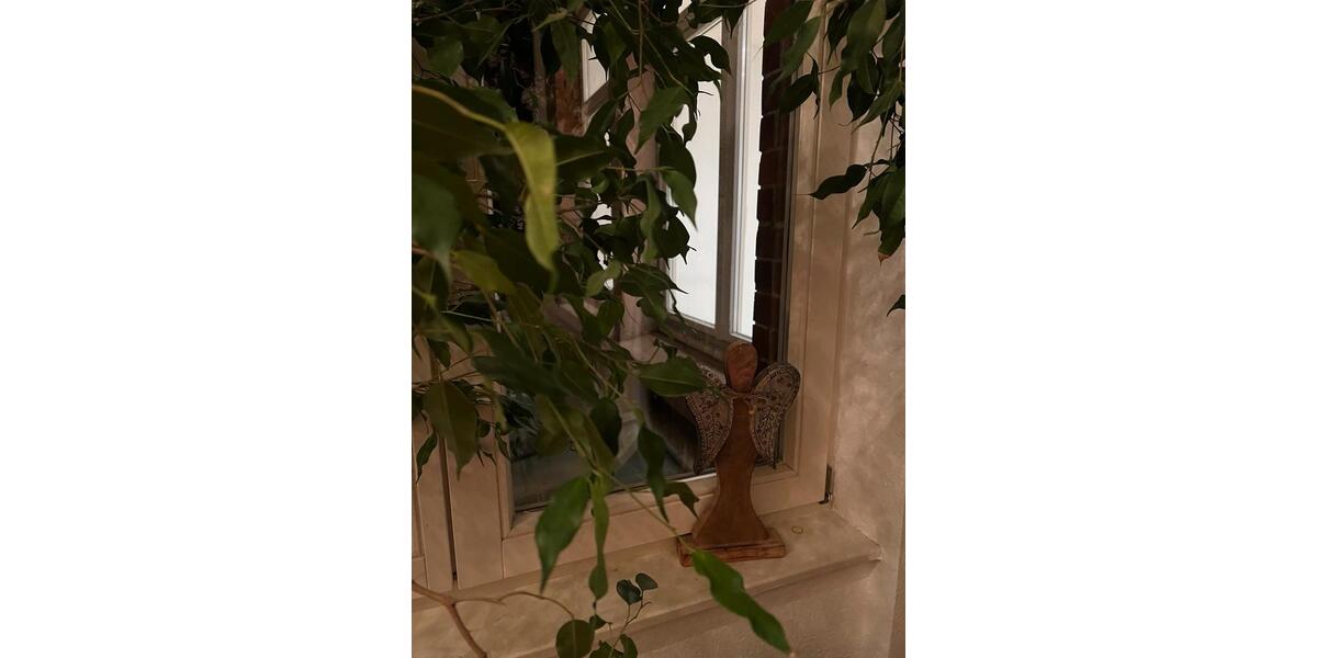 Gewerbeobjekt Freiburg im Breisgau - 30&euro; | Angebot:18631815