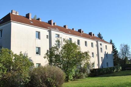 Wohnung Fraureuth - 2 Zimmer, 48 m&sup2;, 250&euro; | Angebot:26445448