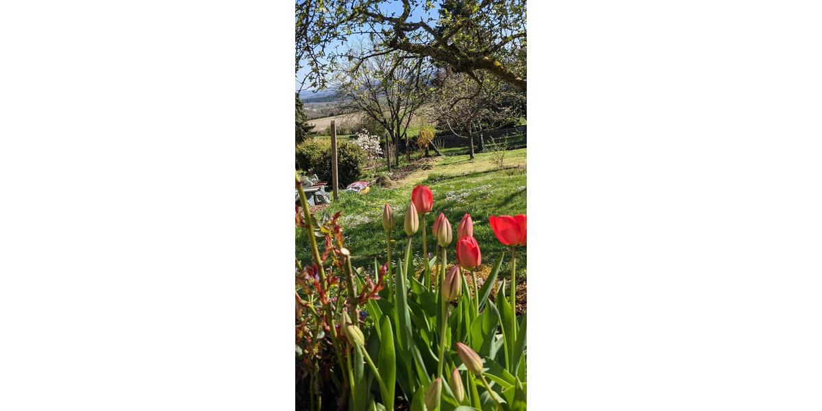 wohnen für kreative Menschen 5 zimmer