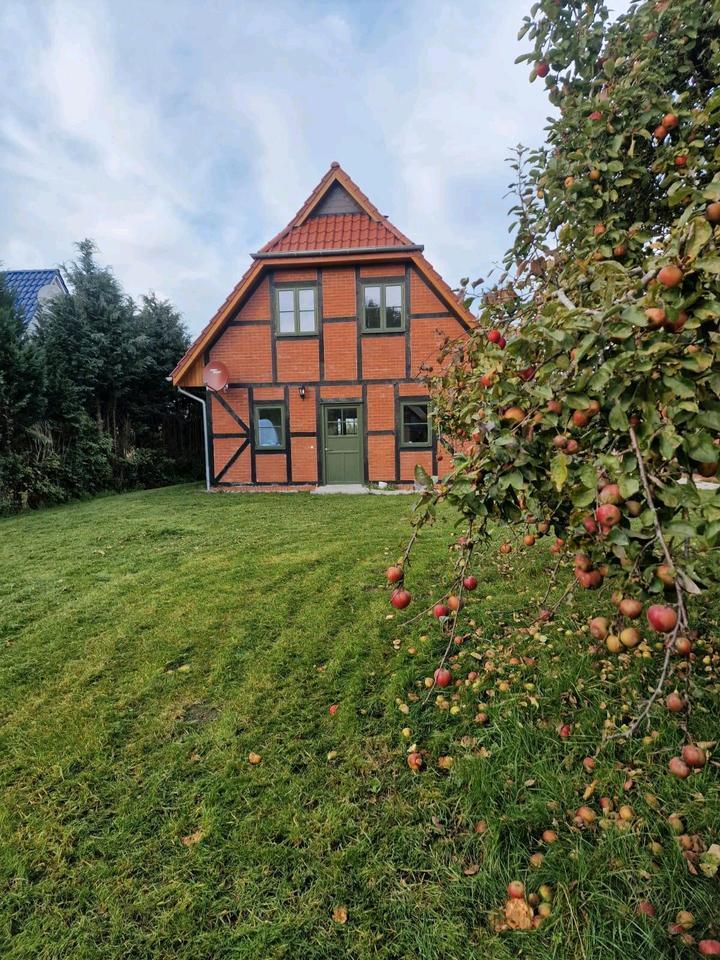 Haus Einfamilienhaus EFH Wohnung Rügen Ostsee See MVP Vieregge