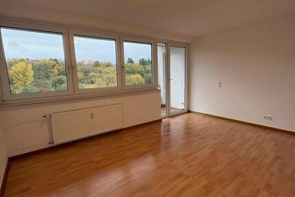 Wohnung Kusel - 1 Zimmer, 39 m&sup2;, 645&euro; | Angebot:25099302