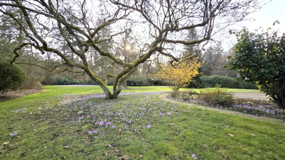 Einfamilienhaus Ganderkesee - 8 Zimmer, 257 m&sup2;, 1.500&euro; | Angebot:25307610