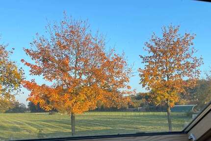 Wohnung Münster Gievenbeck - 4 Zimmer, 134 m&sup2;, 1.150&euro; | Angebot:26089793