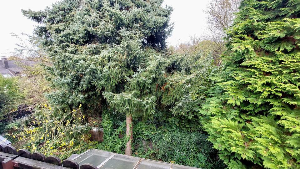 Wohnen auf Zeit Leverkusen Bürrig - 2 Zimmer, 70 m&sup2;, 1.250&euro; | Angebot:24714720