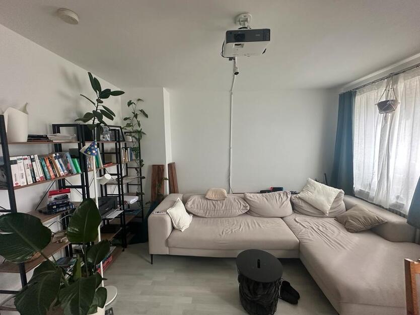 WG-Zimmer in schöner, gut angebundener 3-Zimmer-Wohnung frei zimmer