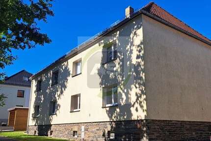 Wohnung zum Mieten in Reinsdorf 325 € 57.4 m²