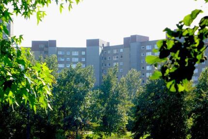 Gut geschnittene 3-Zimmer-Wohnung in Darmstadt-Kranichstein
