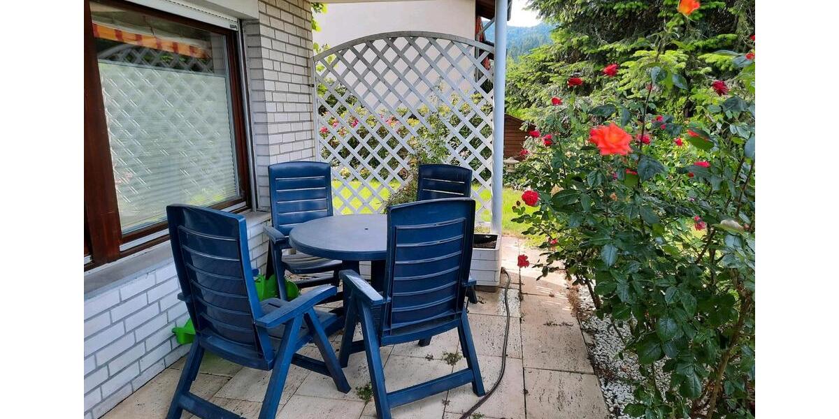 Möblierte 1-Zimmer Wohnung mit Terasse in Waldkirch 1 zimmer