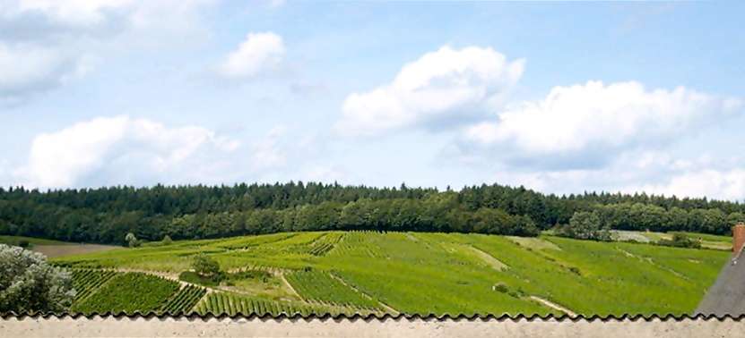 Etagenwohnung Kiedrich - 1 Zimmer, 50 m&sup2;, 530&euro; | Angebot:24764221