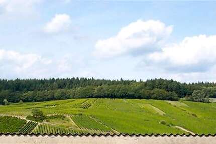 Wohnung Kiedrich - 1 Zimmer, 50 m&sup2;, 530&euro; | Angebot:24764221