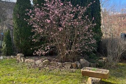 Wohnen auf Zeit Markkleeberg - 2 Zimmer, 350 m&sup2;, 500&euro; | Angebot:25814292