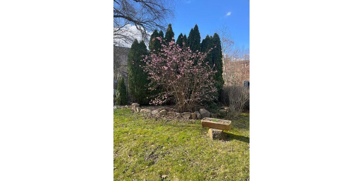 Wohnen auf Zeit Markkleeberg - 2 Zimmer, 350 m&sup2;, 500&euro; | Angebot:25814292