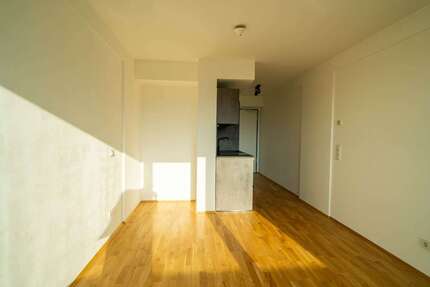 Wohnung Regensburg Ganghofersiedlung - 1 Zimmer, 25 m&sup2;, 520&euro; | Angebot:25510463