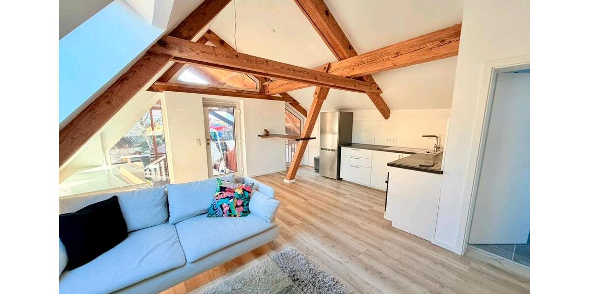 DG Wohnung voll Teil möbliert 2 zimmer