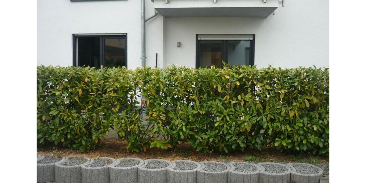 Erdgeschoßwohnung Wittlich - 1 Zimmer, 73 m&sup2;, 850&euro; | Angebot:27616514