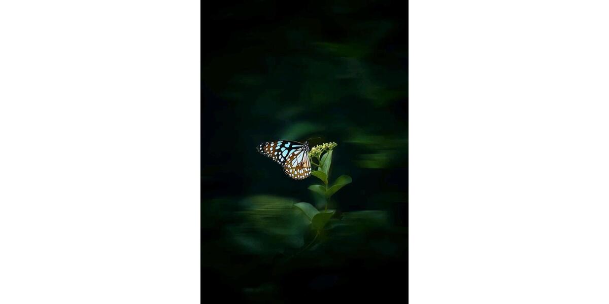 FeWo in Schwarzwald 3 zimmer