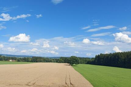 Sehr schöne 5,5 Zimmer-Wohnung in traumhafter Lage 5 zimmer