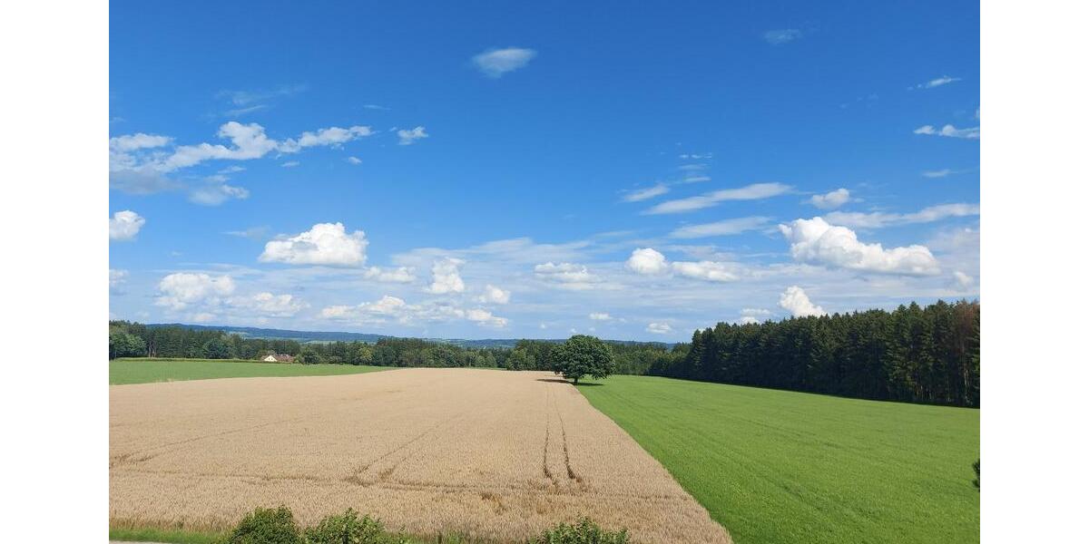 Sehr schöne 5,5 Zimmer-Wohnung in traumhafter Lage 5 zimmer