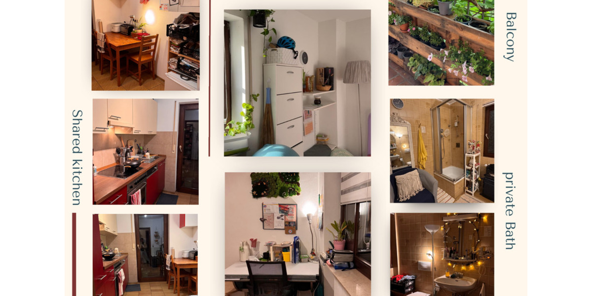 Wohnen auf Zeit Rüdesheim am Rhein - 1 Zimmer, 15 m&sup2;, 330&euro; | Angebot:24590199