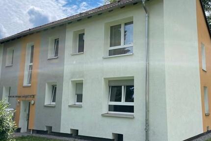 Wohnung Dortmund Eving - 1 Zimmer, 46 m&sup2;, 410&euro; | Angebot:24635097