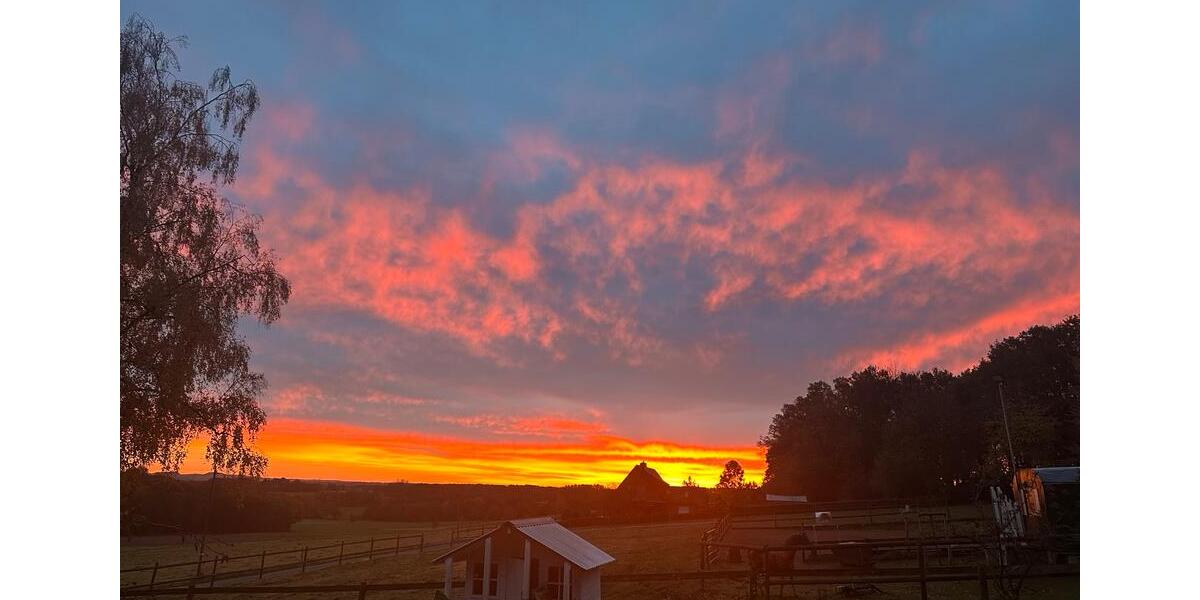 Wohnung in Westerkappeln 88m2 sofort zu vermieten auch mit Pferd 3 zimmer