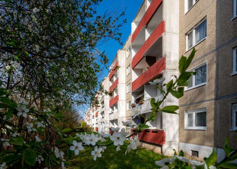 Wohnung zum Mieten in Halle (Saale) 230 € 45.07 m² 2 zimmer