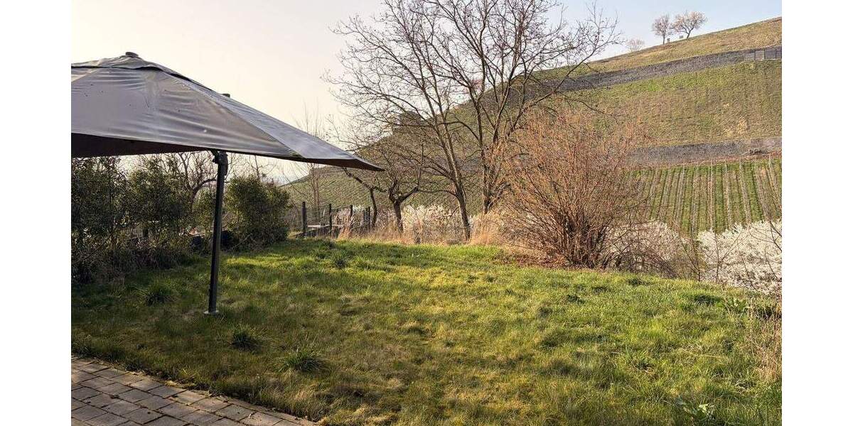 Terrassenwohnung Heppenheim - 2 Zimmer, 101 m&sup2;, 1.490&euro; | Angebot:26258904